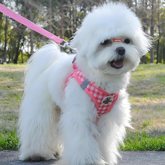 Soft Mesh Dog Harness and Leash Set, Step-in Escape Proof Vest Harnesses, Reflective Breathable Pet Harness Adjustable Plaid Pet Outdoor Harnesses for Small and Medium Dogs, Watermelon M