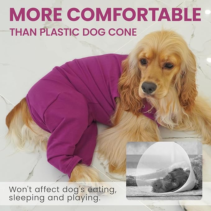IDOMIK Dog Recovery Suit,Dog Leg Sleeve to Stop Licking Rear Legs,Thigh Wound Protective Sleeve,Male Female Pet Surgical Clothes,Doggy Surgical Suit with Pants Cover,Cone Collar Alternative,Purple,XL