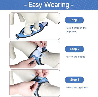 Dog Harness for Small Dogs and Leash Set, Honeycomb Grid, Reflective Lightweight Harness & Anti-Twist Pet Lead Multi Color, Size: XS-S-M. (M, Marine Blue)