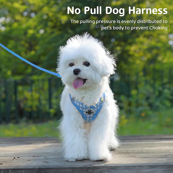 Soft Mesh Dog Harness and Leash Set, Step-in Escape Proof Vest Harnesses, Reflective Breathable Pet Harness Adjustable Plaid Pet Outdoor Harnesses for Small and Medium Dogs, Blue M