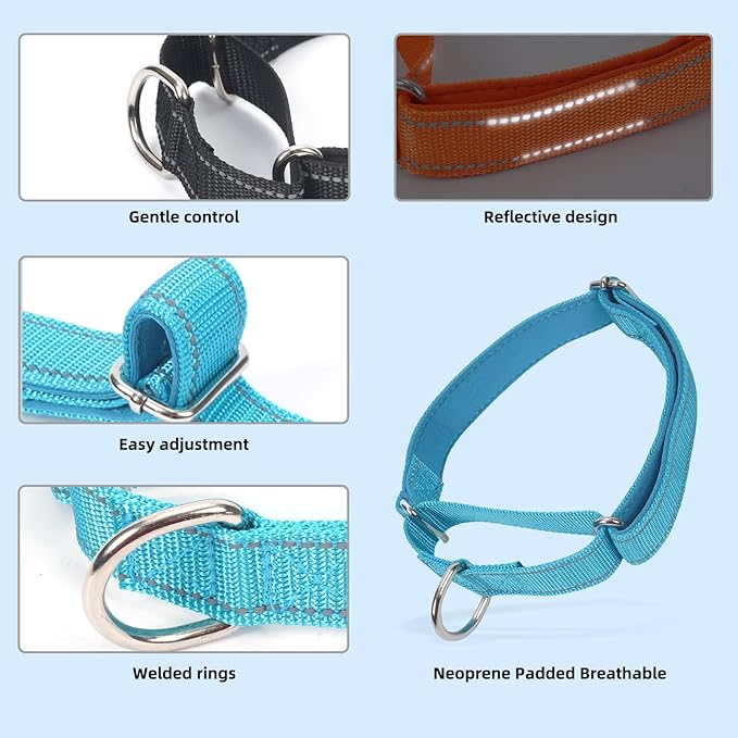 SGODA Martingale Dog Collar, Reflective Nylon Padded Dog Training Collars for Large Dogs, Orange L