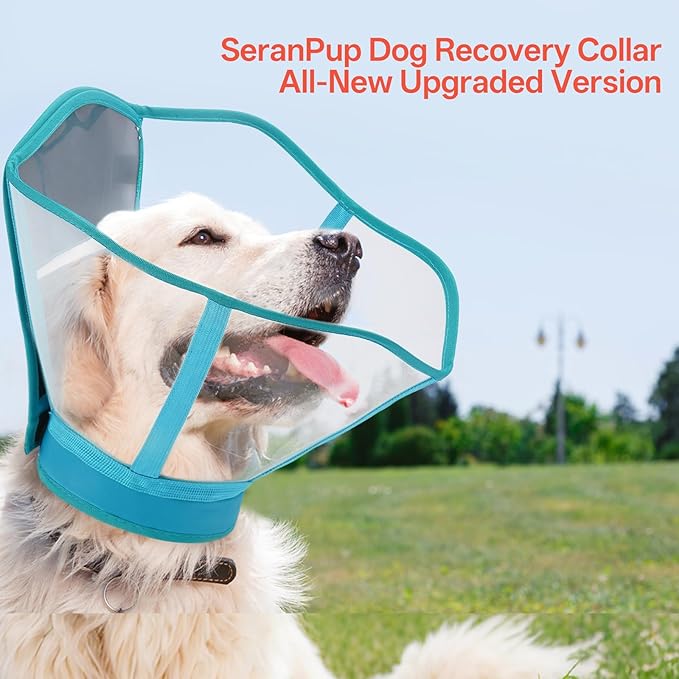 Foldable Dog Cone Collar - Adjustable Elizabethan Recovery Collar for Dogs After Surgery, Transparent Waterproof E-Collar to Stop Licking Wounds, Fits Small Medium Large Dogs, Blue, XL