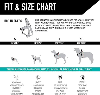Wolfgang Heavy Duty Adjustable Dog Harness, Pull-Tested to Over 800 lbs for Walking & Training, LostArt Print, Small