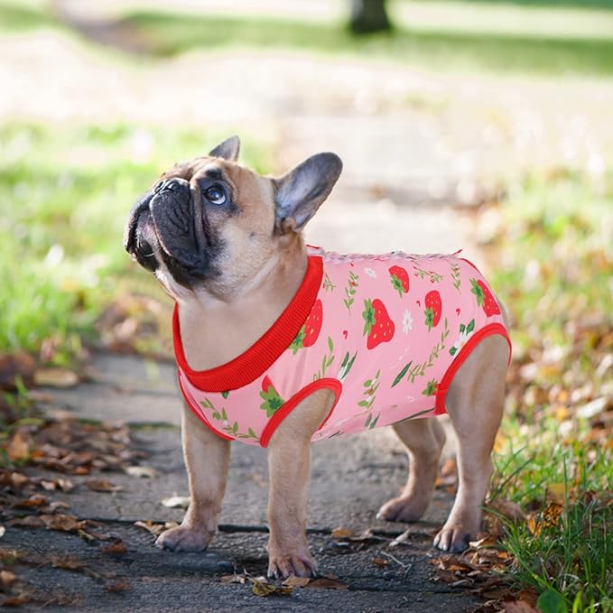 SAWMONG 2 Pack Recovery Suit for Dogs After Surgery, Dog Recovery Suit Soft Polyester, Pet Spay Surgical Suit Female Male, Dog Onesie Body Suit Substitute E-Collar Cone(Strawberry+ Peach,XXL)