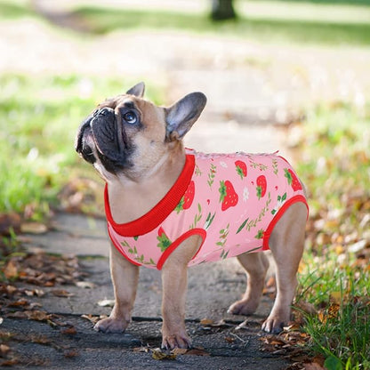 SAWMONG 2 Pack Recovery Suit for Dogs After Surgery, Dog Recovery Suit Soft Polyester, Pet Spay Surgical Suit Female Male, Dog Onesie Body Suit Substitute E-Collar Cone(Strawberry+ Peach,XXL)