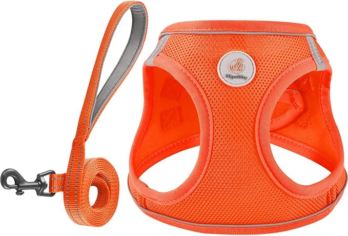 Hipubby Dog Harness and Leash Set, No Pull Soft Mesh Puppy Harness for Small Medium Dogs, Cats - Step in Reflective Breathable Lightweight Vest Harness for Walking, Training - Orange, XXS