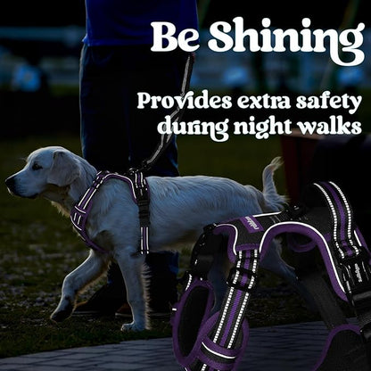 rabbitgoo Dog Harness Medium Sized, No Pull Pet Harness with 3 Buckles, Adjustable Soft Padded Vest with Control Handle, Walking Reflective Pet Vest for Medium Dogs, Black & Purple, M