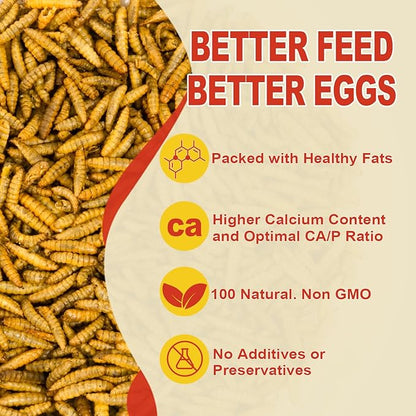 5.5LB Dried Black Soldier Fly Larvae, 85X More Calcium Chicken Feed Than Mealworms, 100% Natural Non-GMO BSF, Treat for Chickens, Ducks, Laying Hens, Birds