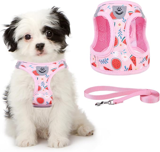 KOOLTAIL Dog Harness and Leash Set for Small Medium Dogs, Step in No Pull Soft Mesh Dog Harness Comfort Padded Pet Vest, Adjustable Reflective Easy Walking Puppy Cats Harness Training, Watermelon S