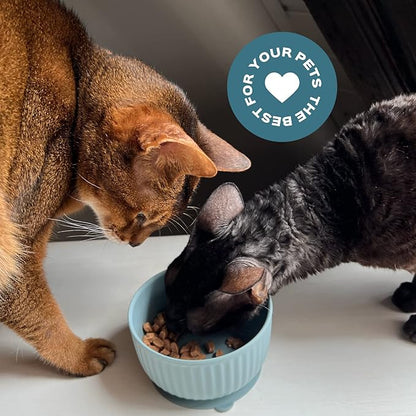 Cat Bowls with Suction Cup 13 Oz — Elevated Silicone Pet Dish with Non-Slip Bottom for Dry Food, Wet Food and Water (Ivory)