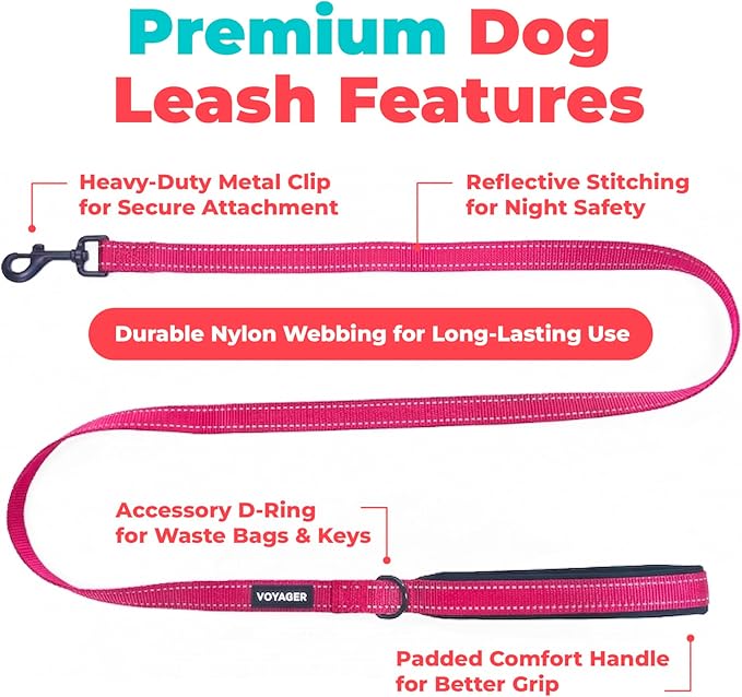Best Pet Supplies Voyager Reflective Dog Leash or Collar with Neoprene Handle, for Small, Medium, and Large Breed Puppies, Cute and Heavy Duty for Walking, Running and Training - Fuchsia (Leash), S
