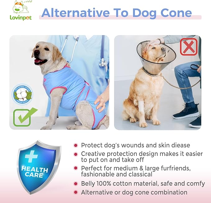 LovinPet Dog Recovery Suit for Large Medium Dogs - Bodysuit Onesie for Shedding Skin Disease Pet Pajamas Dog Anti Licking for Abdominal Wound After Surgery,Elephant,Blue,XXL