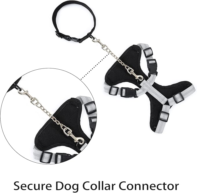 Safety Clip Metal Double Ended Backup Dog Collar Clip for Prong Harness Connector (Medium)