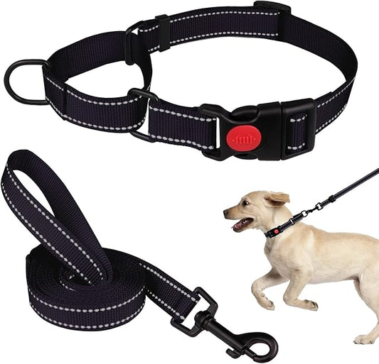 Martingale Dog Collar and Leash Set Martingale Collars for Dogs Reflective Martingale Collar for Small Medium Large Dogs(Black&M)