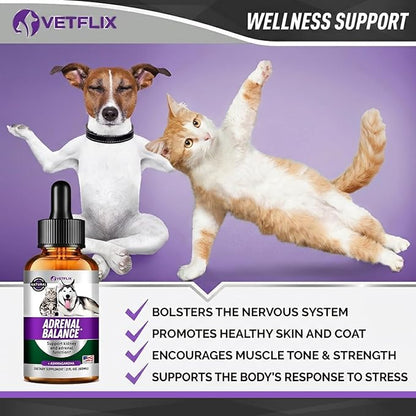 Adrenal Support for Dogs, Cats, Puppies and Kittens - Made in USA - Cushing's and Kidney Support Supplement - Natural Endocrine Health Formula - 2 Fl Oz