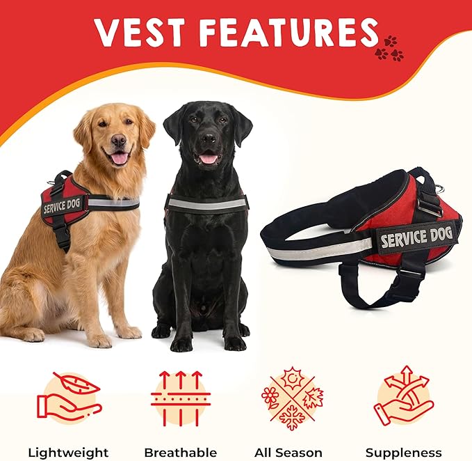 Service Dog Vest, ID Tag and ADA Info Cards - Harness in X Small to XX Large, Durable Metal Tag, 2-Sided Service Animal Cards. ESA Accessory Set