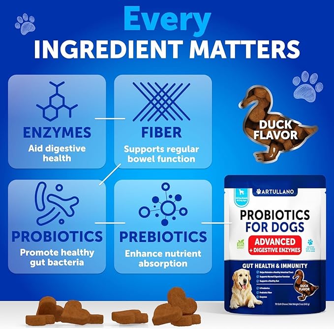 Dog UTI Treatment + Probiotic Chews Bundle - Cranberry Supplement for Bladder & Kidney Support - Probiotics & Prebiotics for Gut Health, Immunity, Yeast Balance, Reduces Diarrhea & Allergies