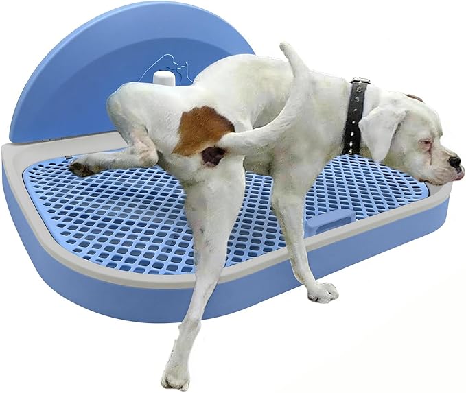 Tfwadmx Pee Pad Holder Dog Potty Tray with Splash Guard & Center Post Mesh Training Toilet Potty Tray Puppy Pad Holder for Puppy and Small Size Dog (Blue, 22.4"×17.7")