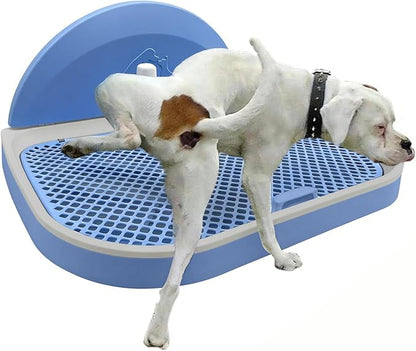 Tfwadmx Pee Pad Holder Dog Potty Tray with Splash Guard & Center Post Mesh Training Toilet Potty Tray Puppy Pad Holder for Puppy and Small Size Dog (Blue, 22.4"×17.7")