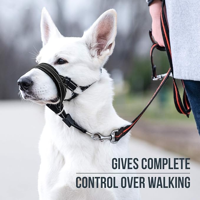 GoodBoy Dog Head Halter with Safety Strap - Stops Heavy Pulling On The Leash - Padded Headcollar for Small Medium and Large Dog Sizes - Head Collar Training Guide Included (Size 2, Black)