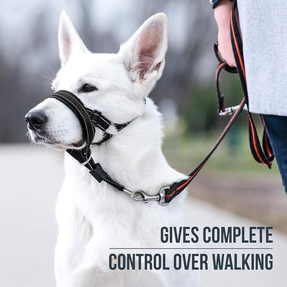 GoodBoy Dog Head Halter with Safety Strap - Stops Heavy Pulling On The Leash - Padded Headcollar for Small Medium and Large Dog Sizes - Head Collar Training Guide Included (Size 2, Black)