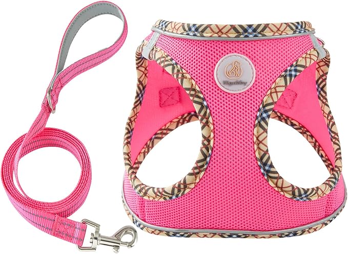 Hipubby Dog Harness Small Sized and Leash Set, No Pull Soft Mesh Puppy Vest, Reflective Breathable Lightweight Pet Harness, Harness for Small Medium Dogs and Cats - Rose Red/Khaki Trim, XXS