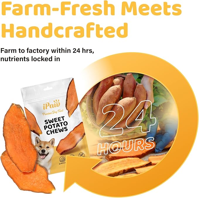 iPaw Sweet Potato Dog Treats, Single Ingredient Dog Treats for Vegetarian, All Natural Human Grade Puppy Chew, Rawhide Alternative, Hypoallergenic, Easy to Digest