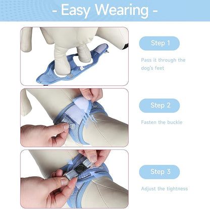 Dog Harness for Small Dogs and Leash Set, Honeycomb Grid, Reflective Lightweight Harness & Anti-Twist Pet Lead Multi Color, Size: XS-S-M. (XS, Aqua Blue)