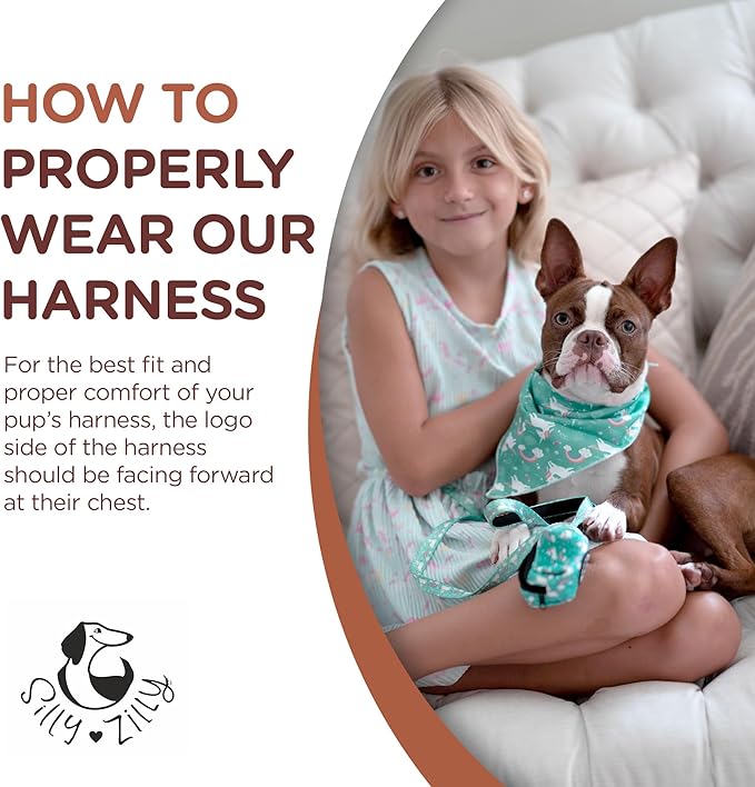 No Pull Harness and Leash Set - 6-in-1 Adjustable Vest Harness and Collars for Medium and Large Dogs. (Tile Unicorn, Small)