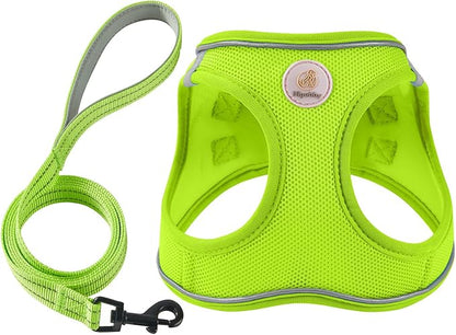 Hipubby Dog Harness and Leash Set, No Pull Soft Mesh Puppy Harness for Small Medium Dogs, Cats - Step in Reflective Breathable Lightweight Vest Harness for Walking, Training - Bright Green, M