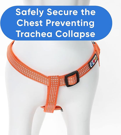 Pawtitas Reflective Step-in Dog Harness – Adjustable No-Pull Vest for Puppies to Seniors, Safe & Comfortable, XS Orange