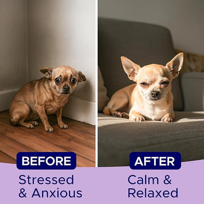 Advanced Calming Chews for Dogs - Hemp Treat + Melatonin + Valerian - Relaxing Bites - Calming Care - Stress Relief - Made in USA - Calm, Sleep Aid, Storms - 60Ct