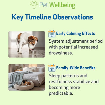 Pet Wellbeing Pet Melatonin for Dogs - Supports Adrenal Health, Cortisol Balance, Helps Maintain Normal Sleep Patterns - Veterinarian-Formulated Liquid Supplement 2 fl oz (59 ml)