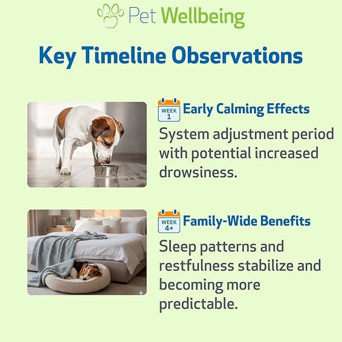 Pet Wellbeing Pet Melatonin for Dogs - Vet-Formulated Holistic Sleep Support - Healthy Sleep Patterns, Circadian Rhythm Balance - Liquid Melatonin Supplement - Made for Dogs 4 oz (118 ml)