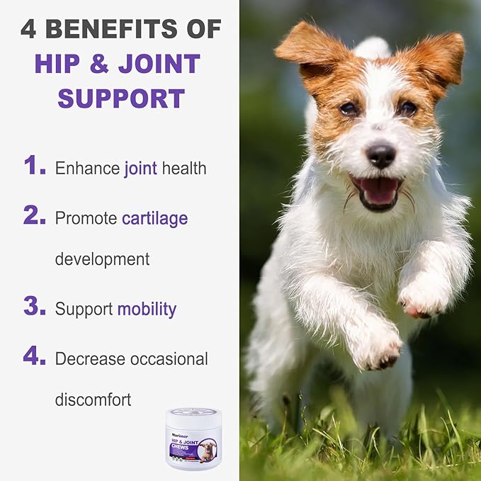 MARIMER Hip & Joint Chews for Dogs – Glucosamine, MSM, Chondroitin, Turmeric & Omega-3 – Mobility Chews for Dogs with Green Lipped Mussel & Eggshell Membrane – Chicken Flavor – 100 Soft Chews