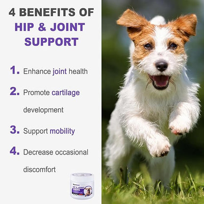 MARIMER Hip & Joint Chews for Dogs – Glucosamine, MSM, Chondroitin, Turmeric & Omega-3 – Mobility Chews for Dogs with Green Lipped Mussel & Eggshell Membrane – Chicken Flavor – 100 Soft Chews