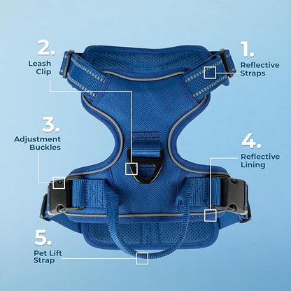 Voyager Dog Harness Dual Leash Attachment No-Pull Control Adjustable Soft but Strong Pet Harness for Medium and Large Dogs with 3M Reflective Technology, Royal Blue Lattice Nylon, XS (Chest: 13-16")
