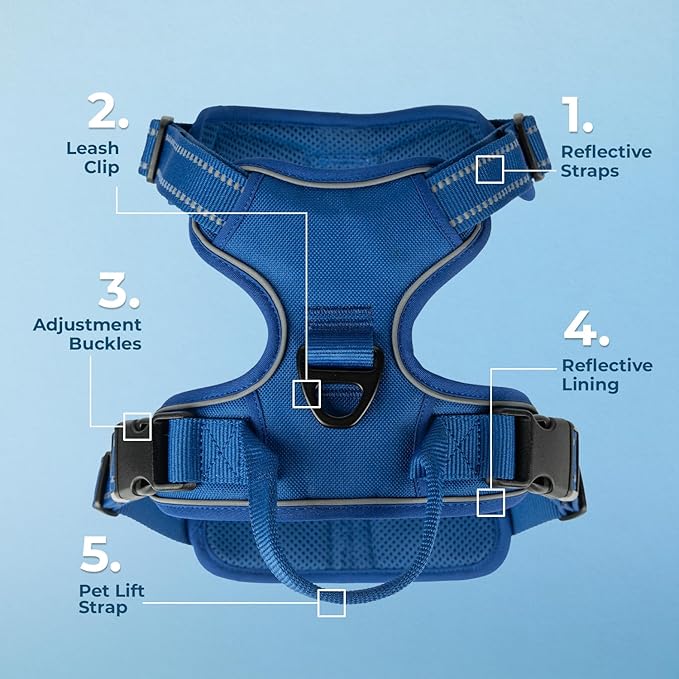 Voyager Dog Harness Dual Leash Attachment No-Pull Control Adjustable Soft but Strong Pet Harness for Medium and Large Dogs with 3M Reflective Technology, Royal Blue Lattice Nylon, L (Chest: 25-30")