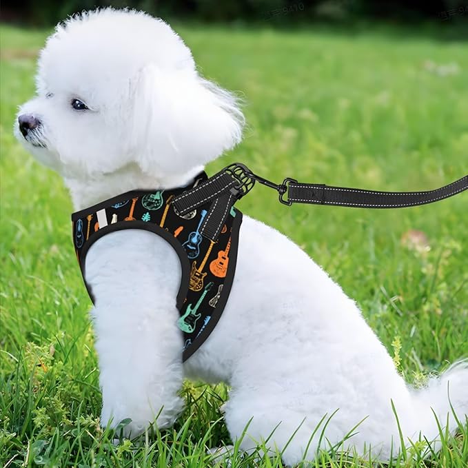 Dog Harness and Leash Set with Electric Guitars Music Pattern, Breathable Mesh Vest with Reflective Strips, Adjustable No Pull Pet Harness for Small Dogs and Cats Small