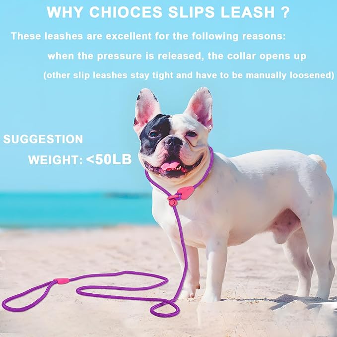 Dog Leashes for Small Medium Dogs Slip Leads for Dogs 6FT Slip Leash for Dogs Dog Lead with 6 Colors Strong Nylon Dog Training Leash No Pull Rope Dog Leash (Deep Purple)