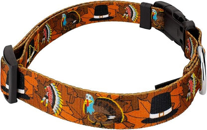 Country Brook Petz - Thanksgiving Tradition Everyday Dog Collar and Leash - Awesome Autumn Collection Featuring Designs You'll Fall for (1/2 Inch, 2XS)