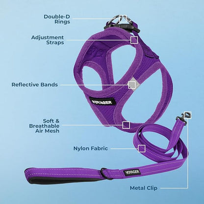 Best Pet Supplies Voyager Step-in Air All Weather Mesh Harness and Reflective Dog 5ft Leash Combo with Neoprene Handle, for Small, Medium and Large Breed Puppies - Set (Purple), XX-Small