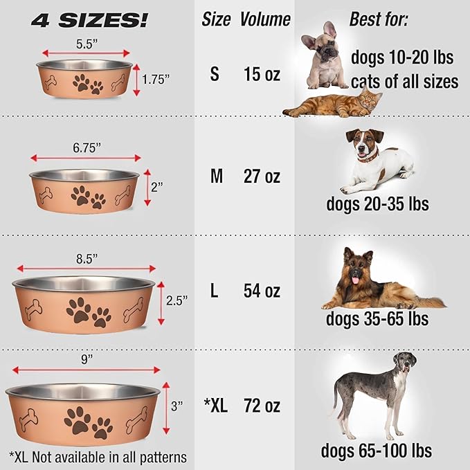 Loving Pets Bella Dog Bowls- Stainless Steel Dog & Cat Bowls - Spill Proof Dog Food Bowl, Cat Bowl, Puppy Essentials & Pet Supplies Great for Home & Travel (Medium 20-35 lbs, Champagne) (Pack of 2)