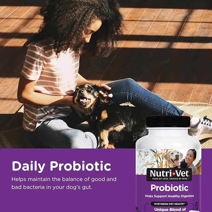 Nutri-Vet Probiotics for Dogs, Dog Probiotics for Digestive Health, Puppy Probiotics, Promotes Healthy Immune System & Gut Health, Vet Formulated, Puppy Supplies, 60 Count Capsules