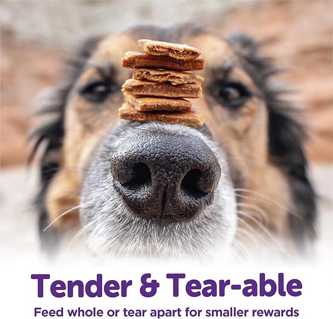 Wellness Rewarding Life Grain-Free Soft Dog Treats, Made in USA with Healthy Ingredients, Ideal for Training (Beef & Turkey Recipe, 6-Ounce Bag) (Pack of 2)