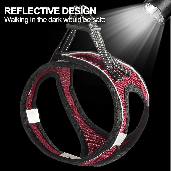 Dog Harness for Small Dogs and Leash Set, Honeycomb Grid, Reflective Lightweight Harness & Anti-Twist Pet Lead Multi Color, Size: XS-S-M. (M, Deep Purple)