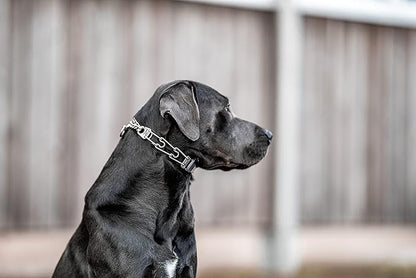 Herm Sprenger Dog Training Prong Collar with Quick Release Cliclock Buckle & Swivel Ring | Adjustable Length German Made Stainless Steel Collar for Small to Medium Dogs Up to 15" Neck (2.25mm Prongs)