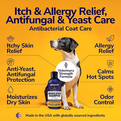 Miracle Vet Medicated Dog Shampoo for Itchy Skin Relief - Antifungal for Dog Allergy Relief, Yeast Infection, Hot Spot & Dry Skin Anti-Itch Treatment Wash - Hydrocortisone (16 oz)