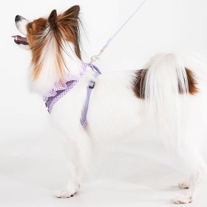 Puppia Vivien Dog Harness A (Over-the-Head) Fashionable Mesh Spring Summer Harness for Small Dogs, Violet, Large