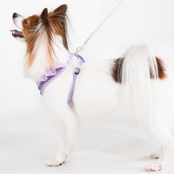 Puppia Vivien Dog Harness A (Over-the-Head) Fashionable Mesh Spring Summer Harness for Small Dogs, Violet, Small